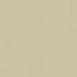 color-light-stone