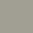 color-ash-gray